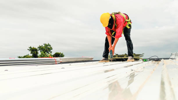 Best Roof Maintenance and Cleaning  in Red Boiling Springs, TN